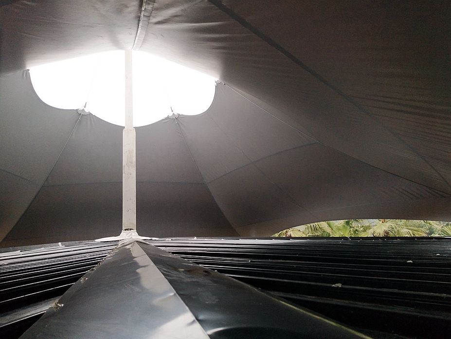 成都熊猫基地玫瑰餐厅膜结构工程照片6_成都膜结构案例
