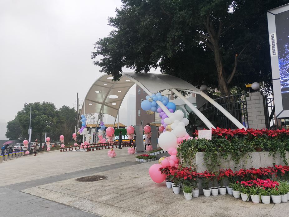 成都高新区菁蓉小学大门膜结构工程照片10_成都膜结构案例