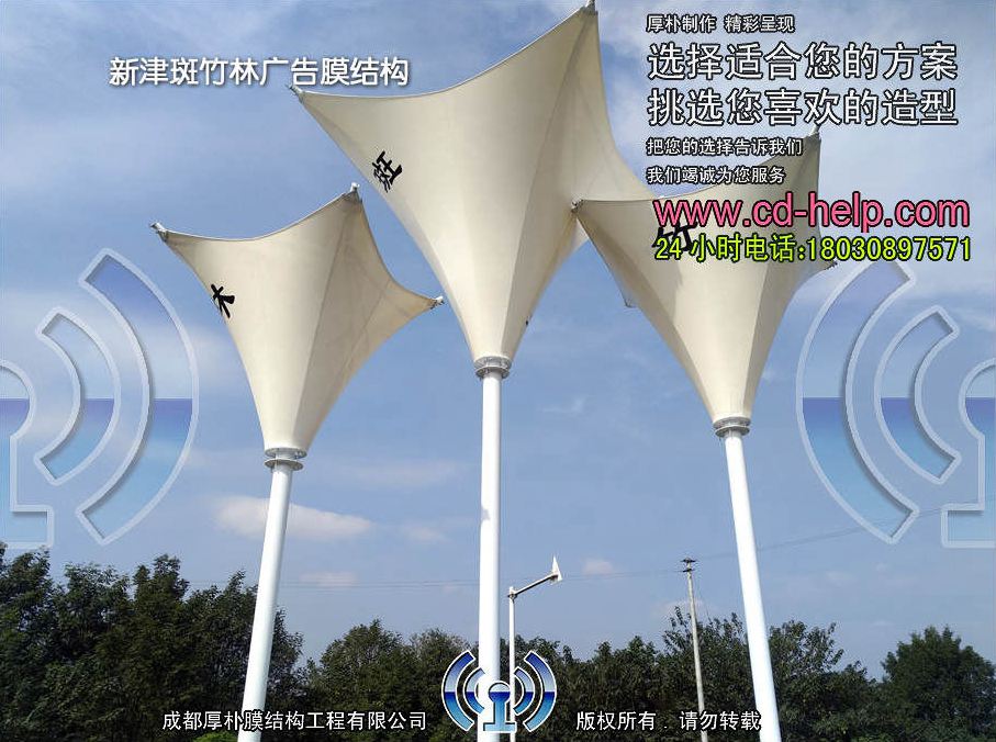新津斑竹林广告膜结构