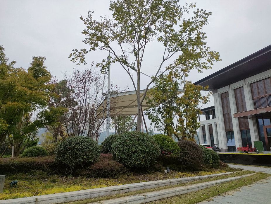 浦江车棚膜结构工程照片11_成都膜结构案例